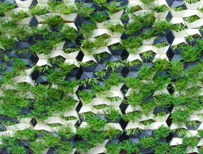 Why You Need Plants in Your Workspace NOW